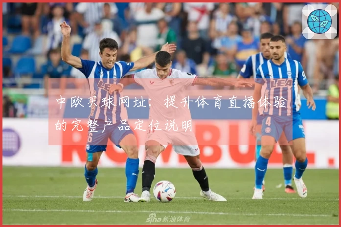 中欧买球网址：提升体育直播体验的完整产品定位说明