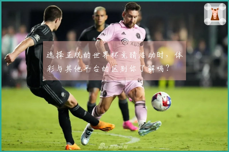 选择正规的世界杯竞猜活动时，体彩与其他平台的区别你了解吗？