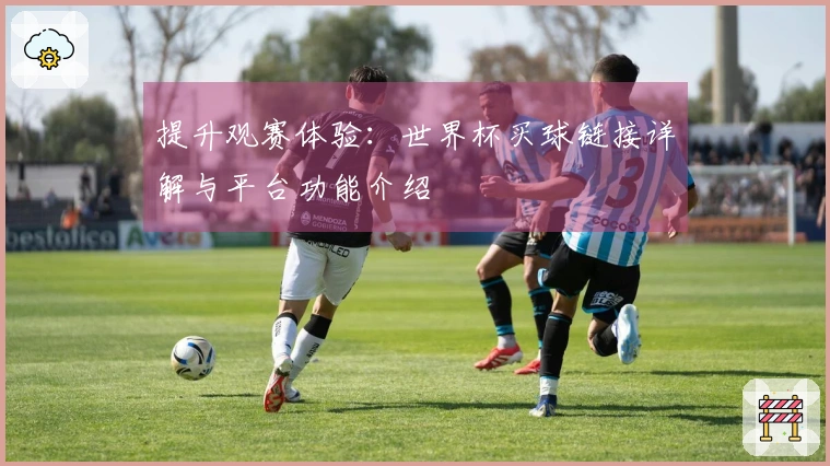 提升观赛体验：世界杯买球链接详解与平台功能介绍