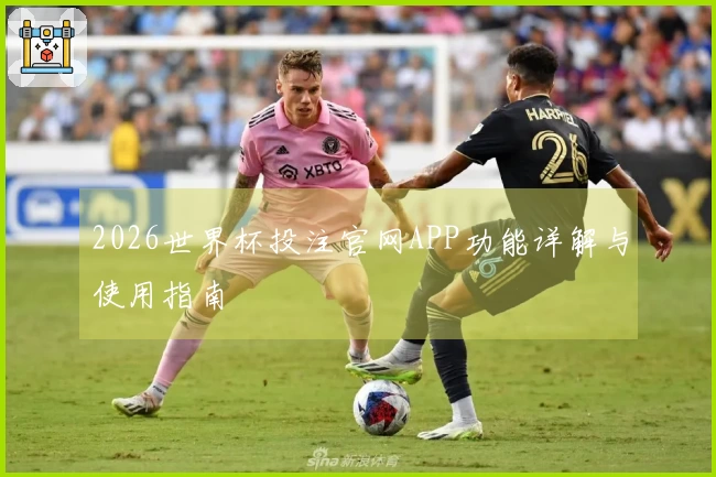 2026世界杯投注官网APP功能详解与使用指南