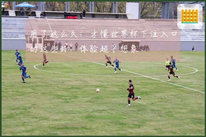 用了这么久，才懂世界杯下注入口的这些好，体验超乎想象
