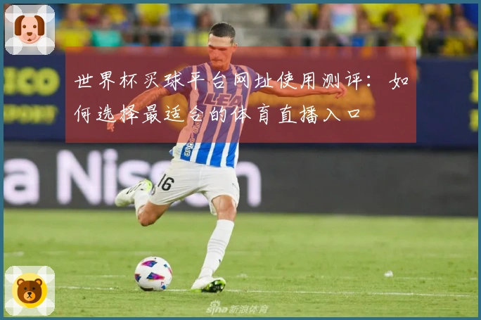 世界杯买球平台网址使用测评：如何选择最适合的体育直播入口
