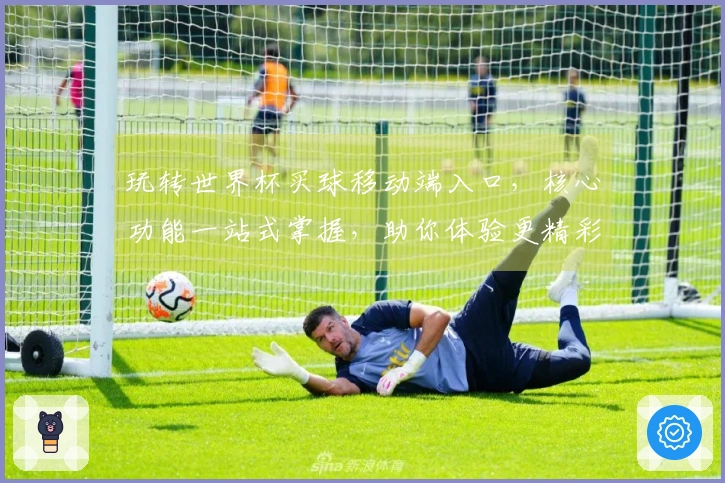 玩转世界杯买球移动端入口，核心功能一站式掌握，助你体验更精彩