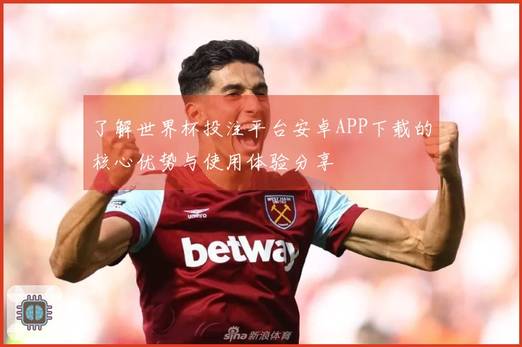 了解世界杯投注平台安卓APP下载的核心优势与使用体验分享