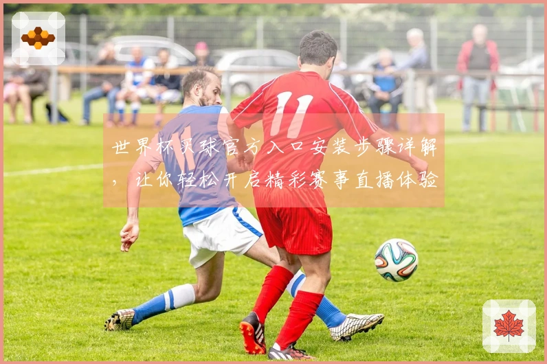 世界杯买球官方入口安装步骤详解,让你轻松开启精彩赛事直播体验