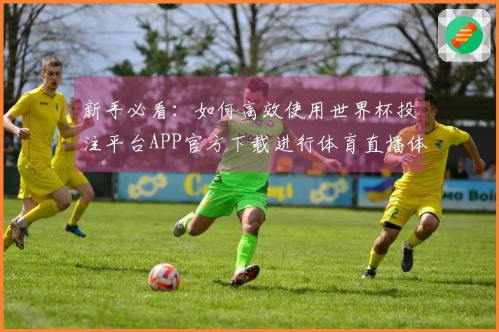 新手必看:如何高效使用世界杯投注平台APP官方下载进行体育直播体验