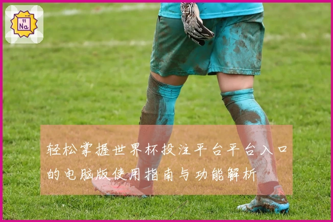 轻松掌握世界杯投注平台平台入口的电脑版使用指南与功能解析