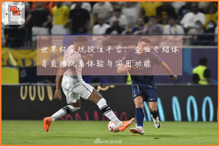 世界杯正规投注平台：全面介绍体育直播观看体验与实用功能