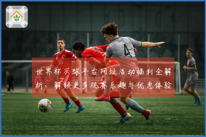 世界杯买球平台网址活动福利全解析，解锁更多观赛乐趣与优惠体验