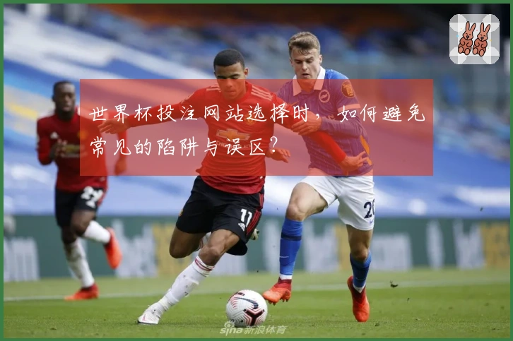 世界杯投注网站选择时，如何避免常见的陷阱与误区？