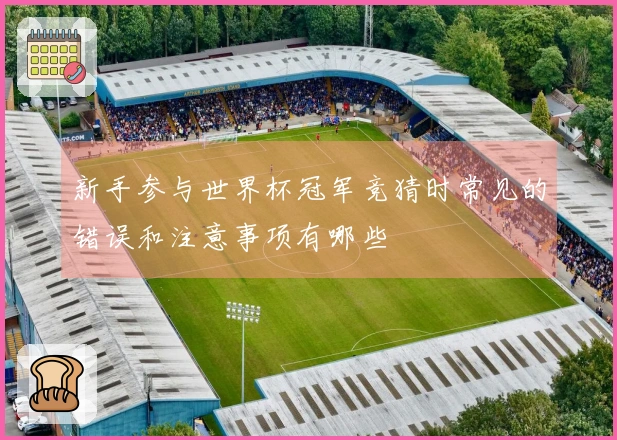 新手参与世界杯冠军竞猜时常见的错误和注意事项有哪些