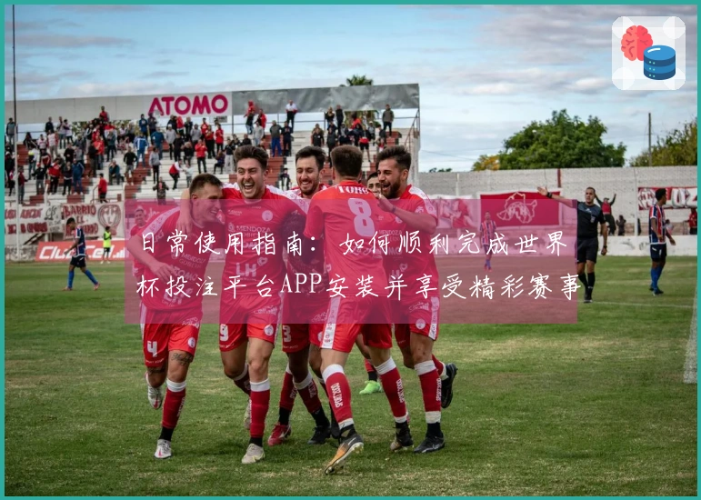 日常使用指南：如何顺利完成世界杯投注平台APP安装并享受精彩赛事直播