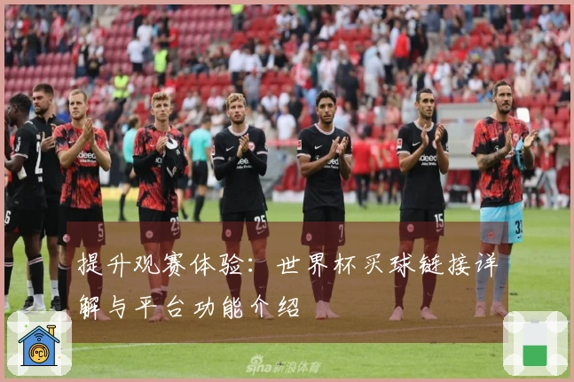 提升观赛体验：世界杯买球链接详解与平台功能介绍